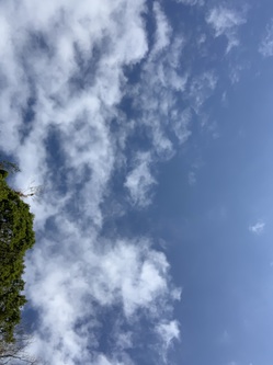 IMG_0954.JPEG